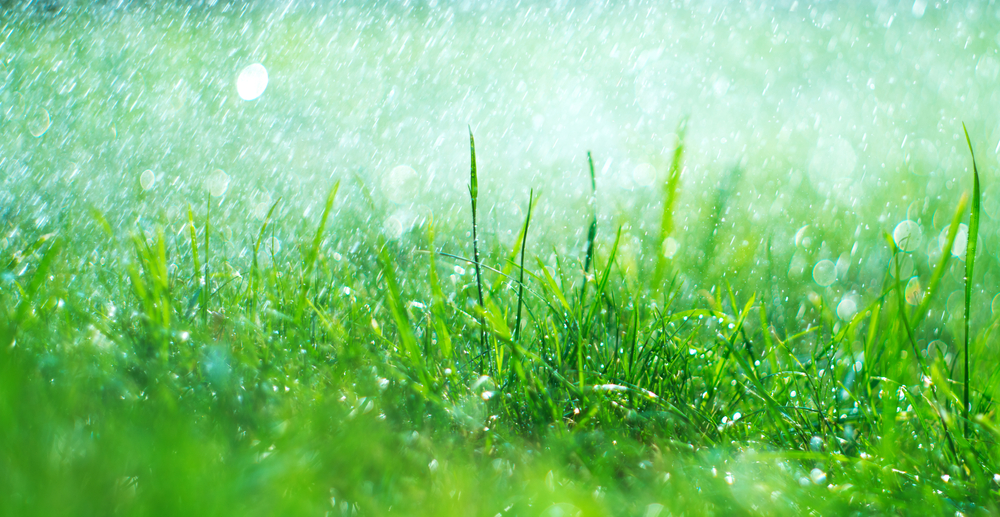 Rainy Season Home Cleaning: Keeping Your Space Fresh and Inviting