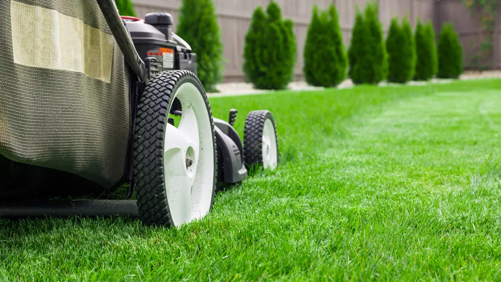 We Just Clean lawn care team mowing a green lawn in Trinidad