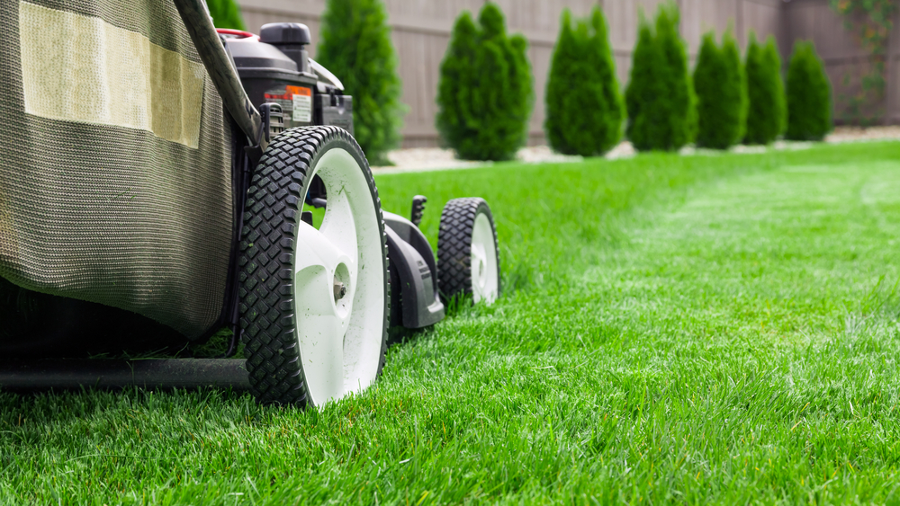 We Just Clean lawn care in Couva, Trinidad